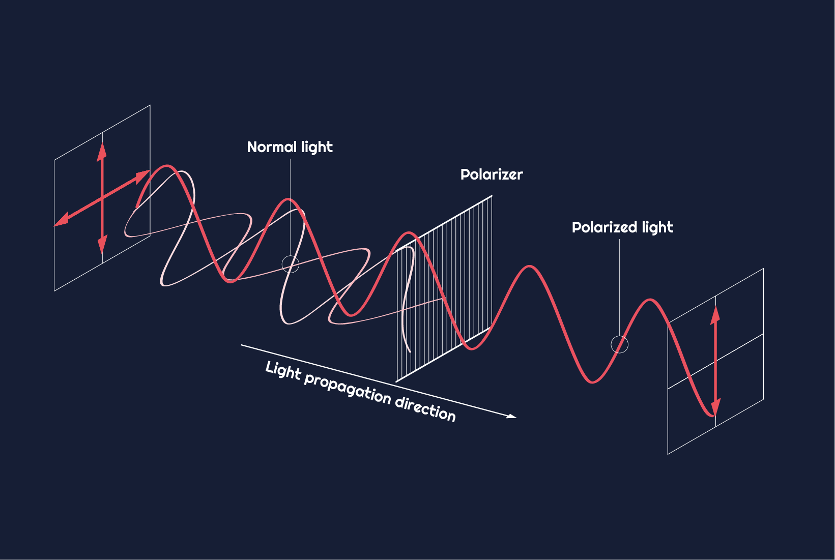 Polarizer Imago Vision