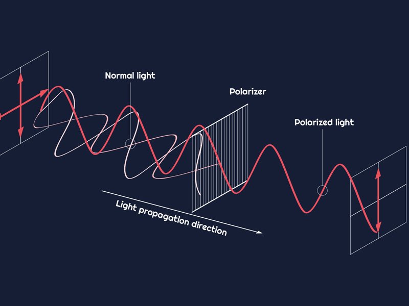 How do polarizer